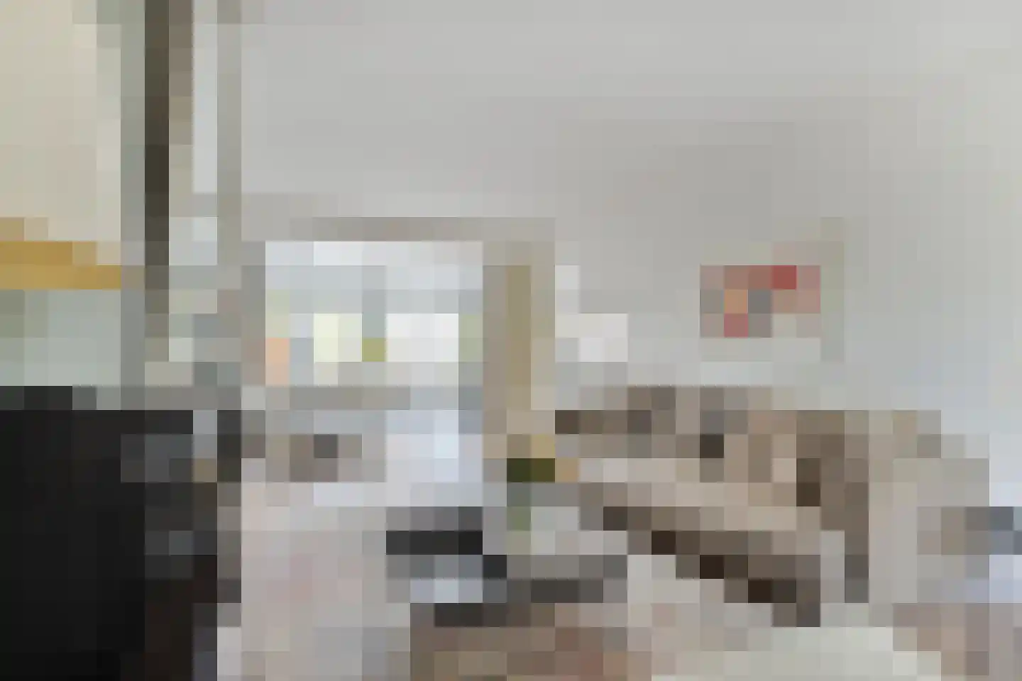 Heer Halewijnpad 38 Amersfoort thumbnail 7