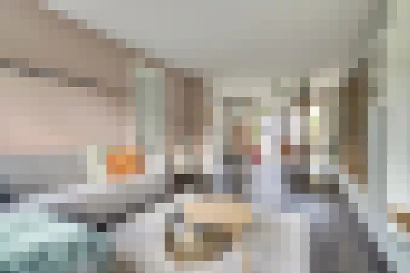 Heer Halewijnpad 4 Amersfoort thumbnail 11