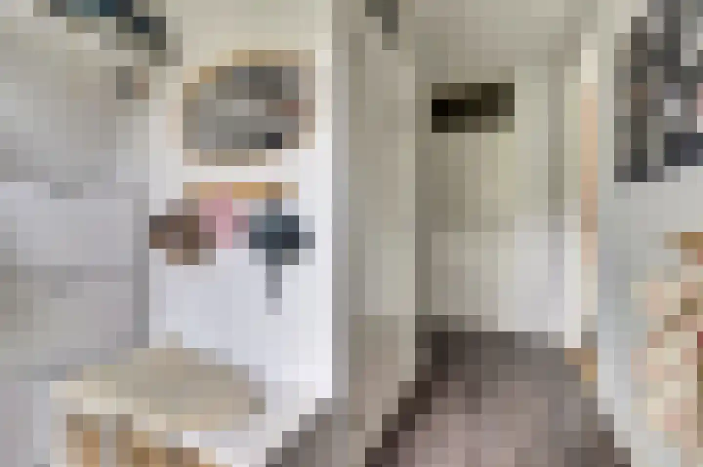 Heer Halewijnpad 4 Amersfoort thumbnail 5