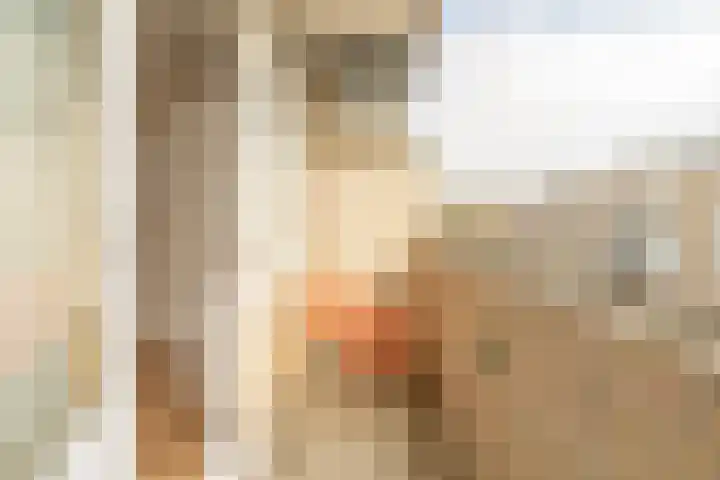Heer Halewijnstraat 1 2 Amsterdam thumbnail 17