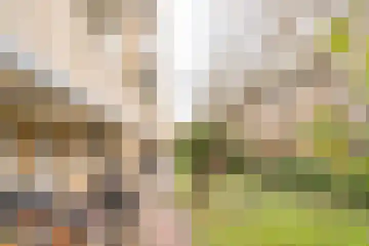 Heer Halewijnstraat 1 2 Amsterdam thumbnail 21