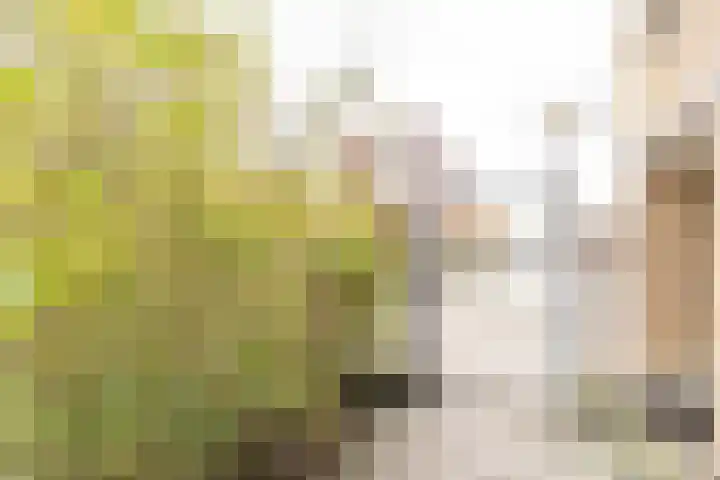 Heer Halewijnstraat 1 2 Amsterdam thumbnail 22