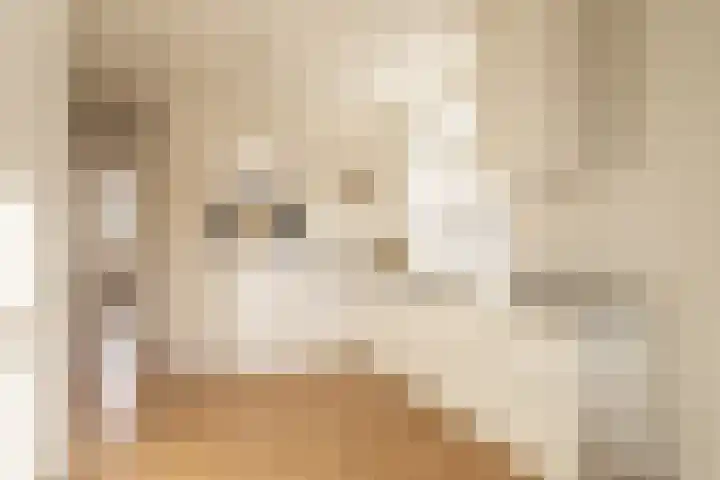 Heer Halewijnstraat 1 2 Amsterdam thumbnail 5