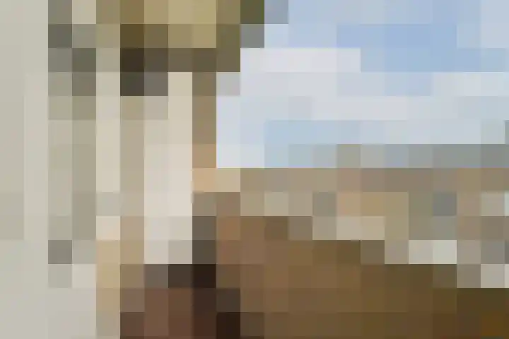 Heer Halewijnstraat 10 1 Amsterdam thumbnail 18
