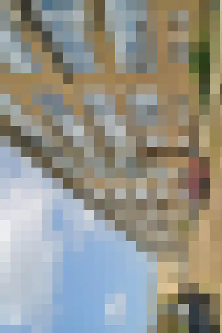 Heer Halewijnstraat 10 1 Amsterdam thumbnail 21