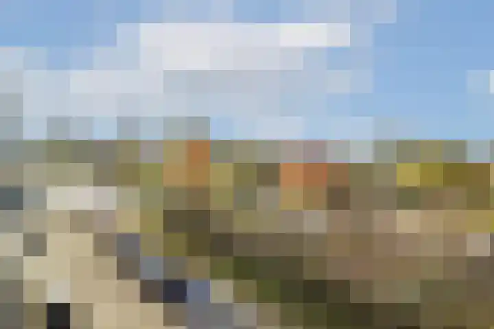 Heer Halewijnstraat 10 1 Amsterdam thumbnail 6