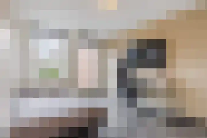 Heer Halewijnstraat 11 Oosterhout thumbnail 13