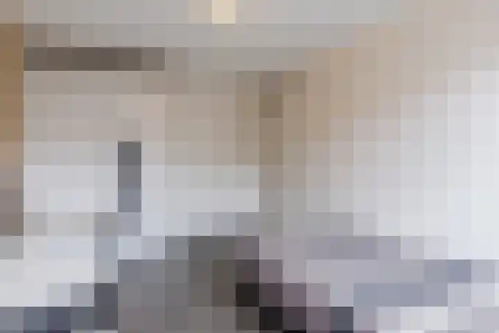 Heer Halewijnstraat 11 Oosterhout thumbnail 14