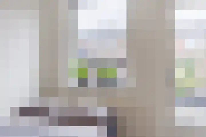 Heer Halewijnstraat 11 Oosterhout thumbnail 15