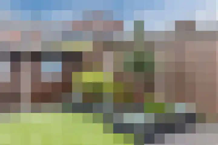 Heer Halewijnstraat 11 Oosterhout thumbnail 26