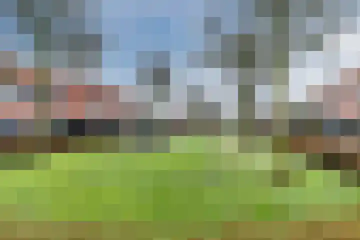 Heer Halewijnstraat 11 Oosterhout thumbnail 34