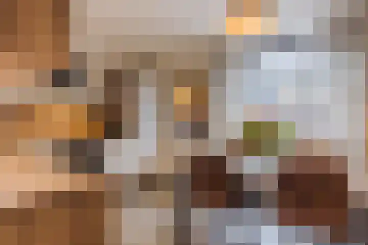 Heer Halewijnstraat 11 Oosterhout thumbnail 8