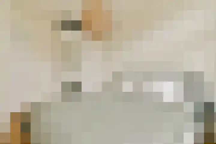 Heer Halewijnstraat 12 H Amsterdam thumbnail 14