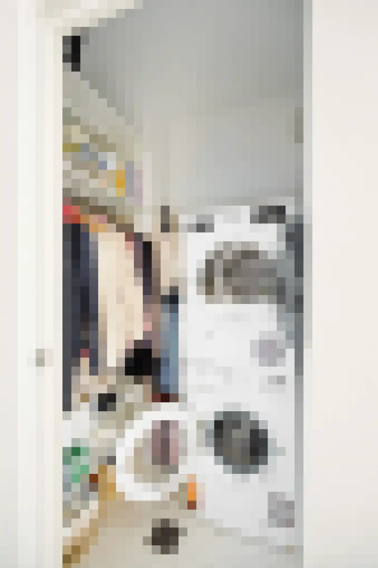 Heer Halewijnstraat 13 3 Amsterdam thumbnail 19