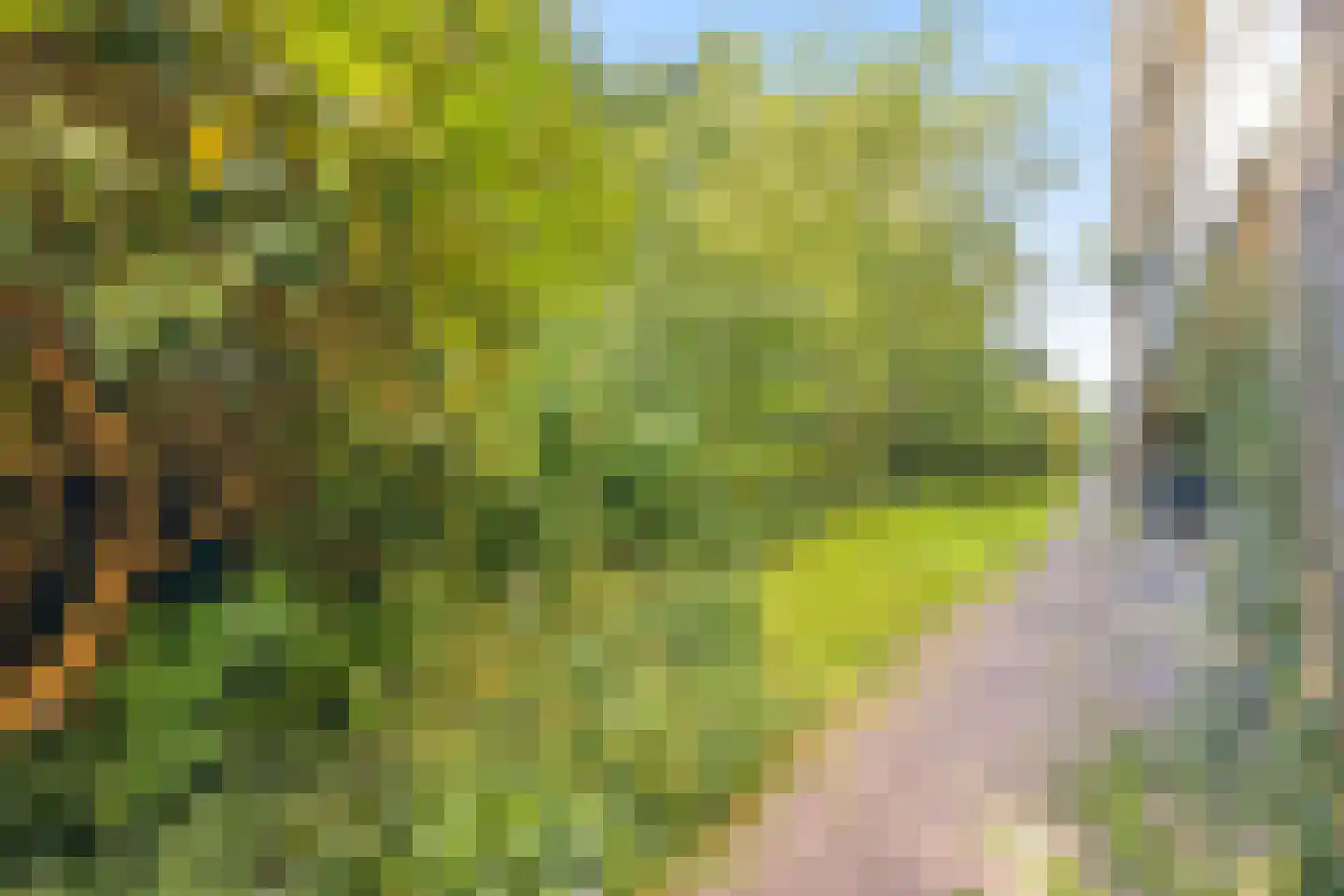 Heer Halewijnstraat 13 3 Amsterdam thumbnail 31