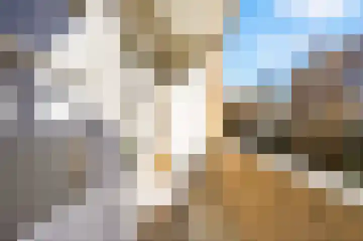 Heer Halewijnstraat 16 2 Amsterdam thumbnail 18