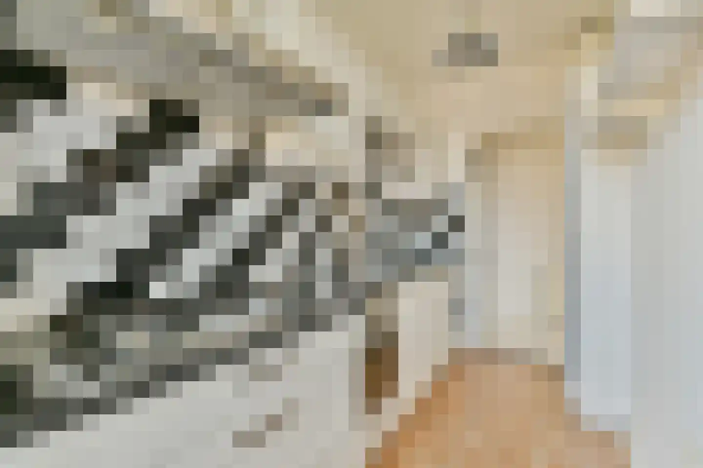 Heer Halewijnstraat 16 3 Amsterdam thumbnail 13