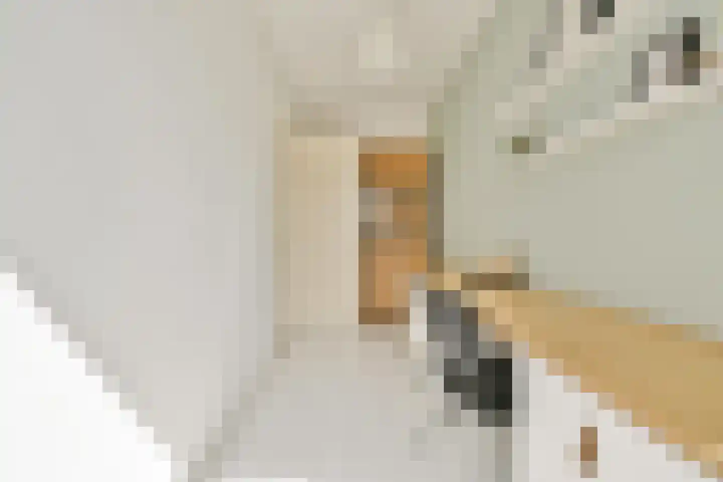 Heer Halewijnstraat 16 3 Amsterdam thumbnail 8