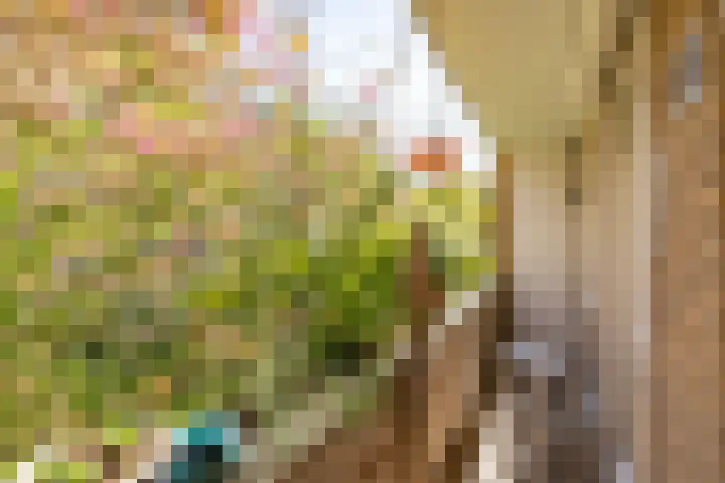Heer Halewijnstraat 19 1 Amsterdam thumbnail 14