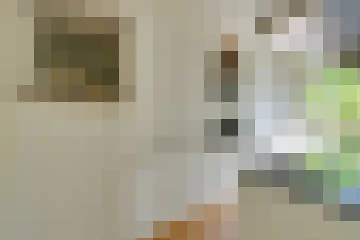 Heer Halewijnstraat 19 1 Amsterdam thumbnail 16