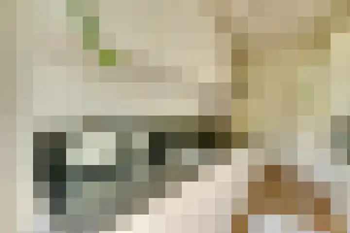 Heer Halewijnstraat 19 1 Amsterdam thumbnail 18