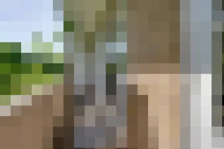 Heer Halewijnstraat 19 1 Amsterdam thumbnail 20