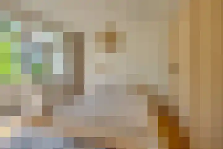 Heer Halewijnstraat 19 1 Amsterdam thumbnail 23