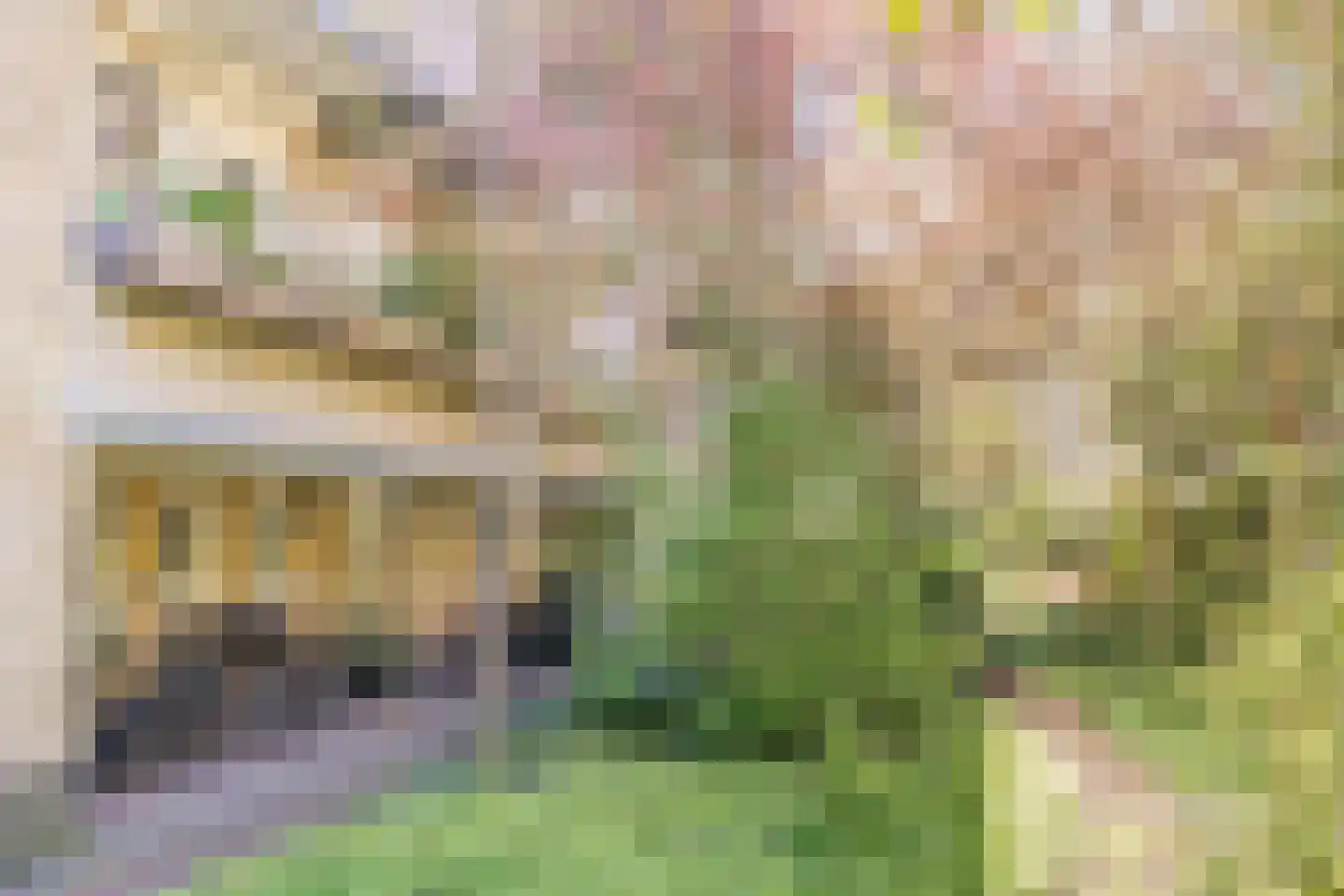 Heer Halewijnstraat 19 1 Amsterdam thumbnail 24
