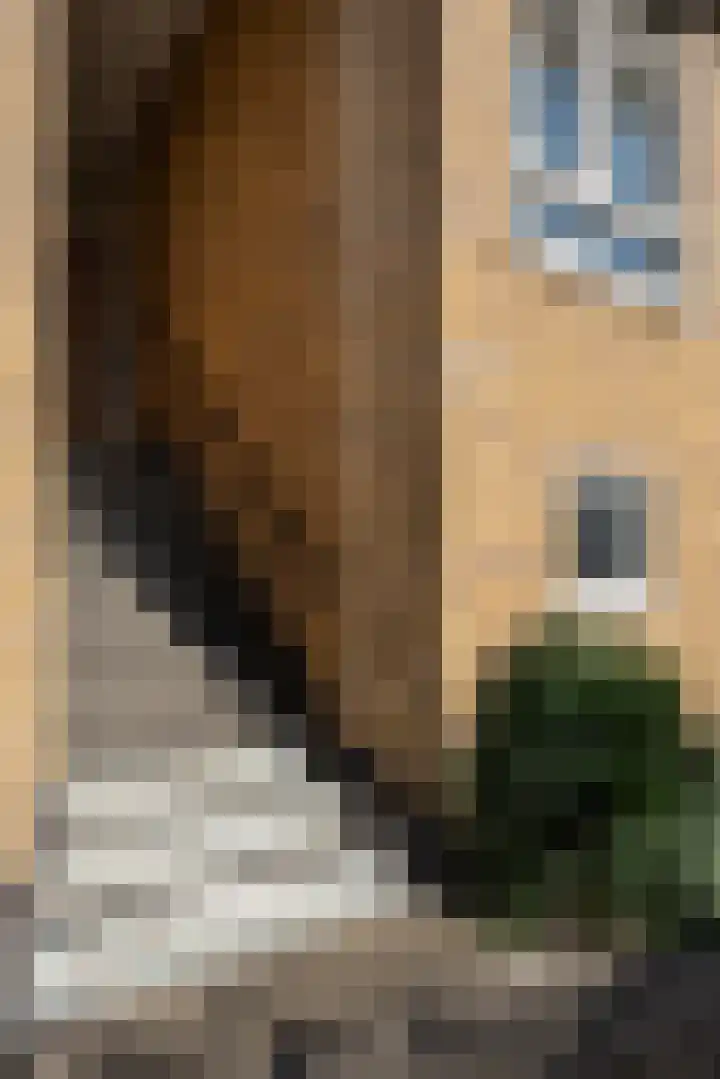 Heer Halewijnstraat 19 1 Amsterdam thumbnail 26