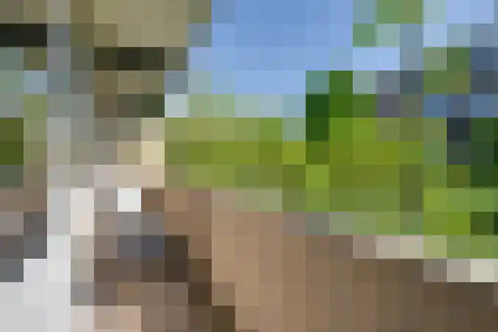 Heer Halewijnstraat 19 1 Amsterdam thumbnail 5