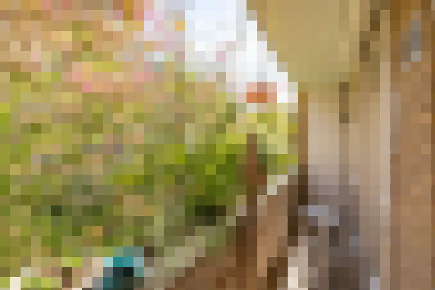 Heer Halewijnstraat 19 2 Amsterdam thumbnail 14