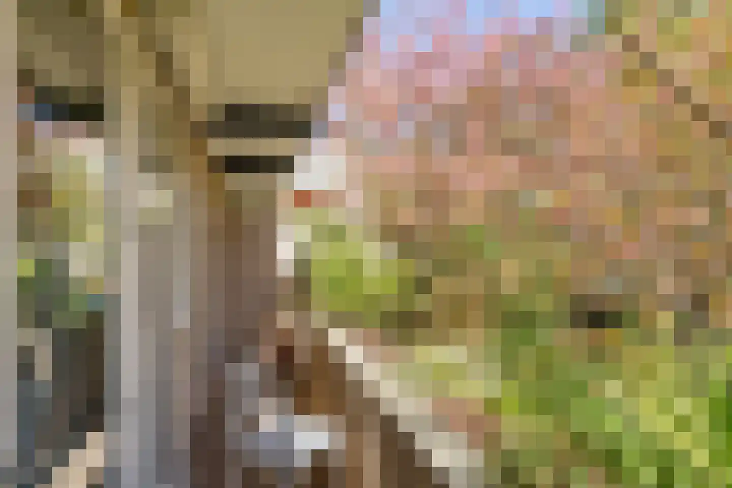 Heer Halewijnstraat 19 2 Amsterdam thumbnail 15
