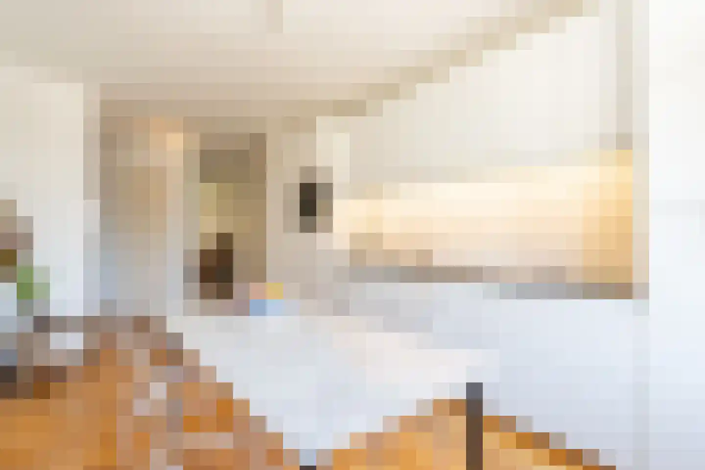 Heer Halewijnstraat 19 2 Amsterdam thumbnail 5