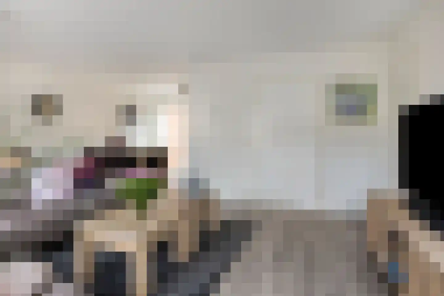 Heer Halewijnstraat 24 Oosterhout thumbnail 4