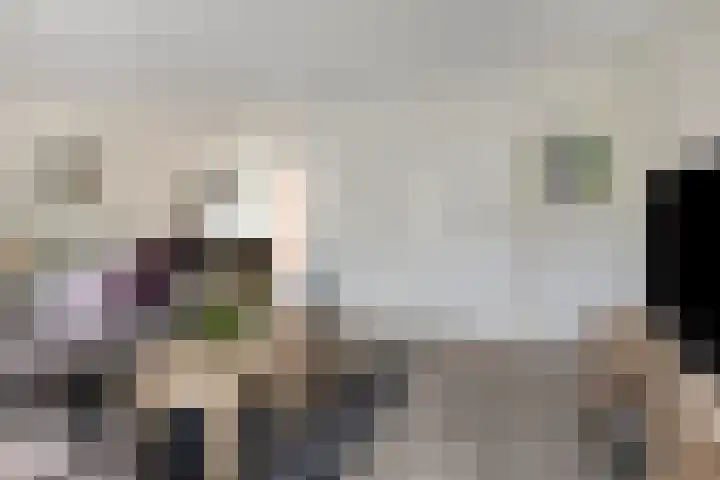 Heer Halewijnstraat 24 Oosterhout thumbnail 4