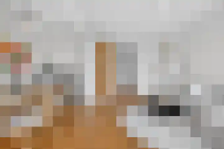Heer Halewijnstraat 7 2 Amsterdam thumbnail 10