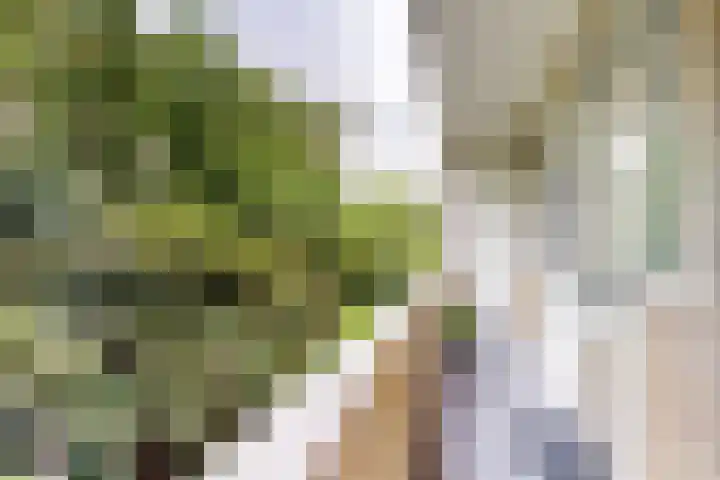Heer Halewijnstraat 7 2 Amsterdam thumbnail 13