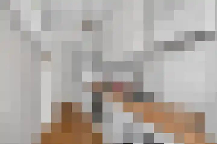Heer Halewijnstraat 7 2 Amsterdam thumbnail 15