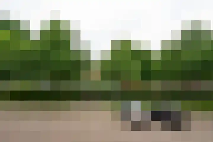 Heer Halewijnstraat 7 2 Amsterdam thumbnail 18