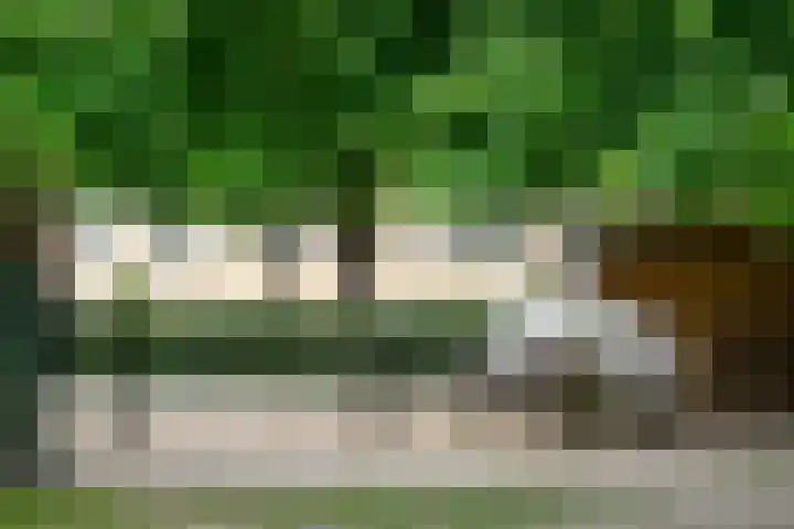 Heer Halewijnstraat 7 2 Amsterdam thumbnail 19