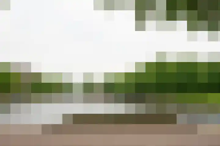 Heer Halewijnstraat 7 2 Amsterdam thumbnail 20