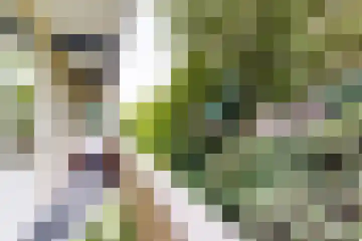 Heer Halewijnstraat 7 2 Amsterdam thumbnail 4