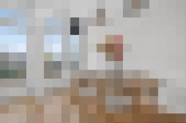 Heer Halewijnstraat 7 2 Amsterdam thumbnail 6