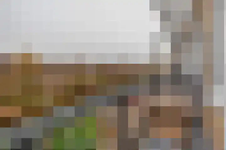 Heer Halewijnstraat 7 2 Amsterdam thumbnail 7