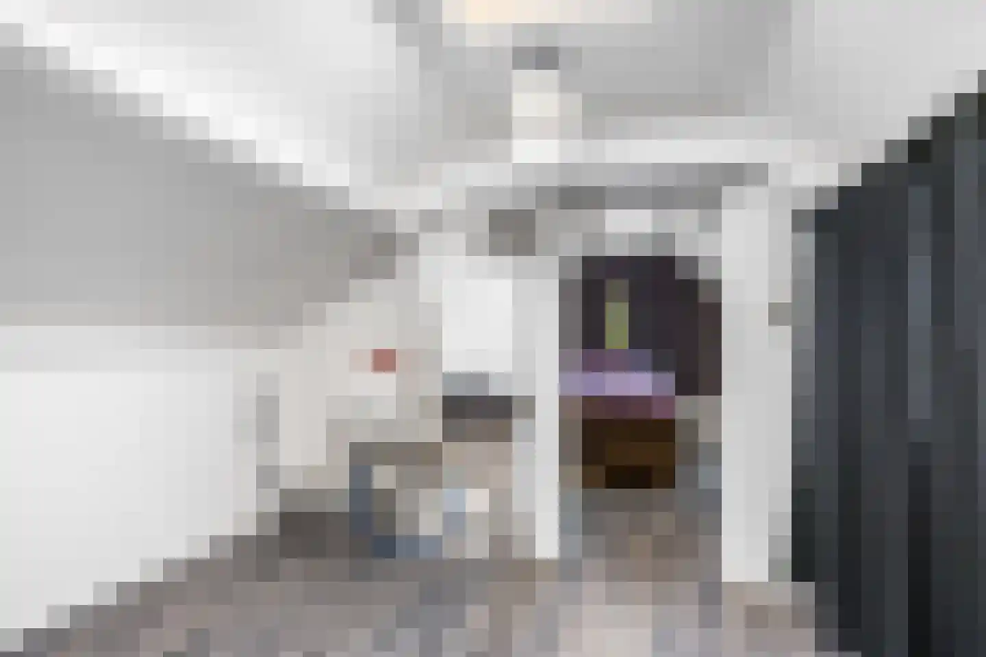 Heer Jacobstraat 2 Bakhuizen thumbnail 18