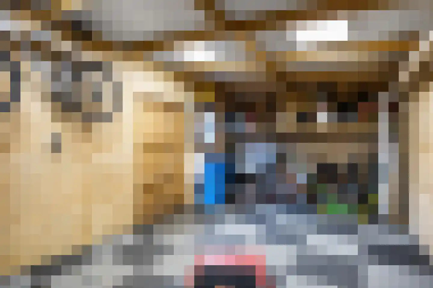 Heer Jacobstraat 2 Bakhuizen thumbnail 22