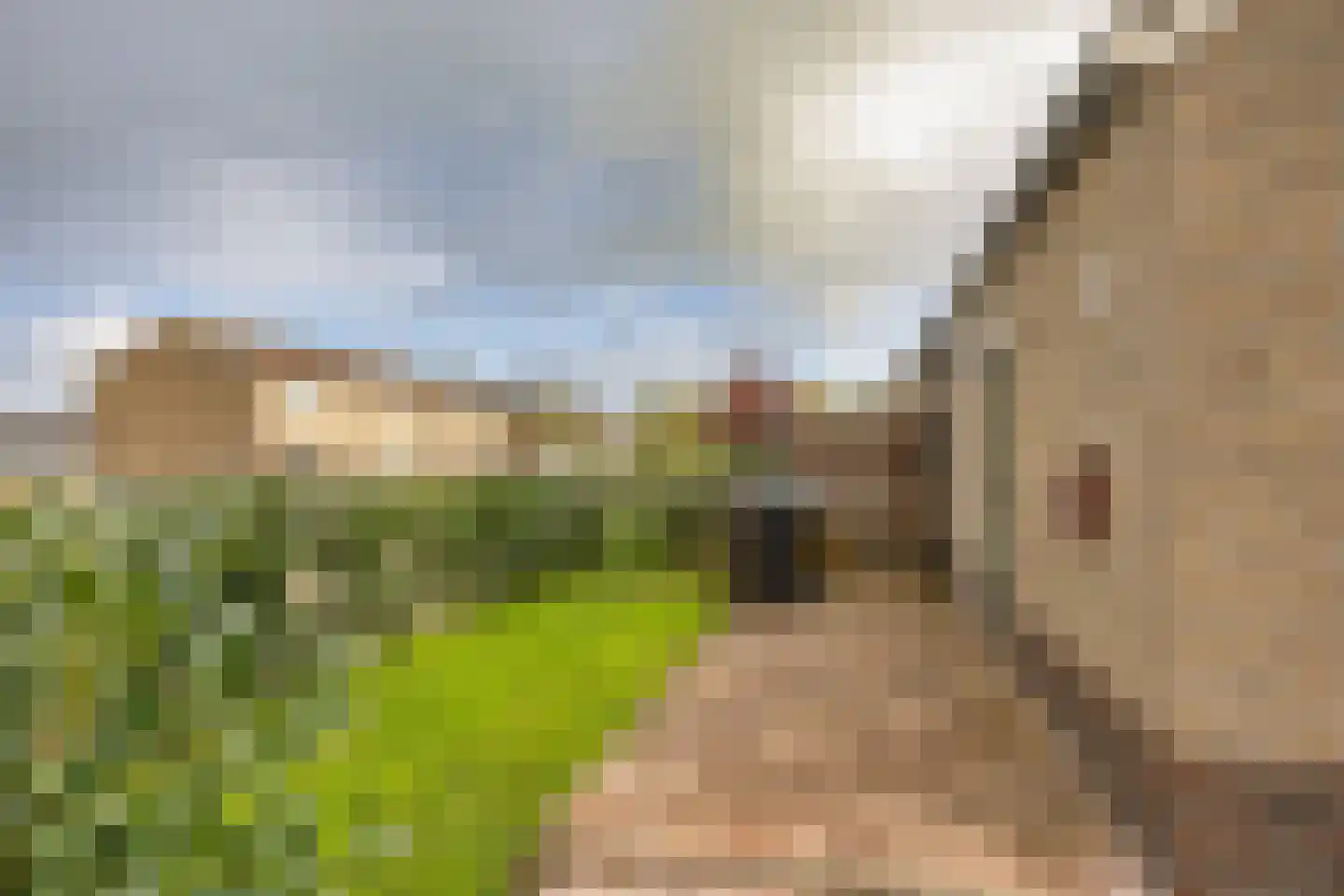 Heer Jacobstraat 2 Bakhuizen thumbnail 27
