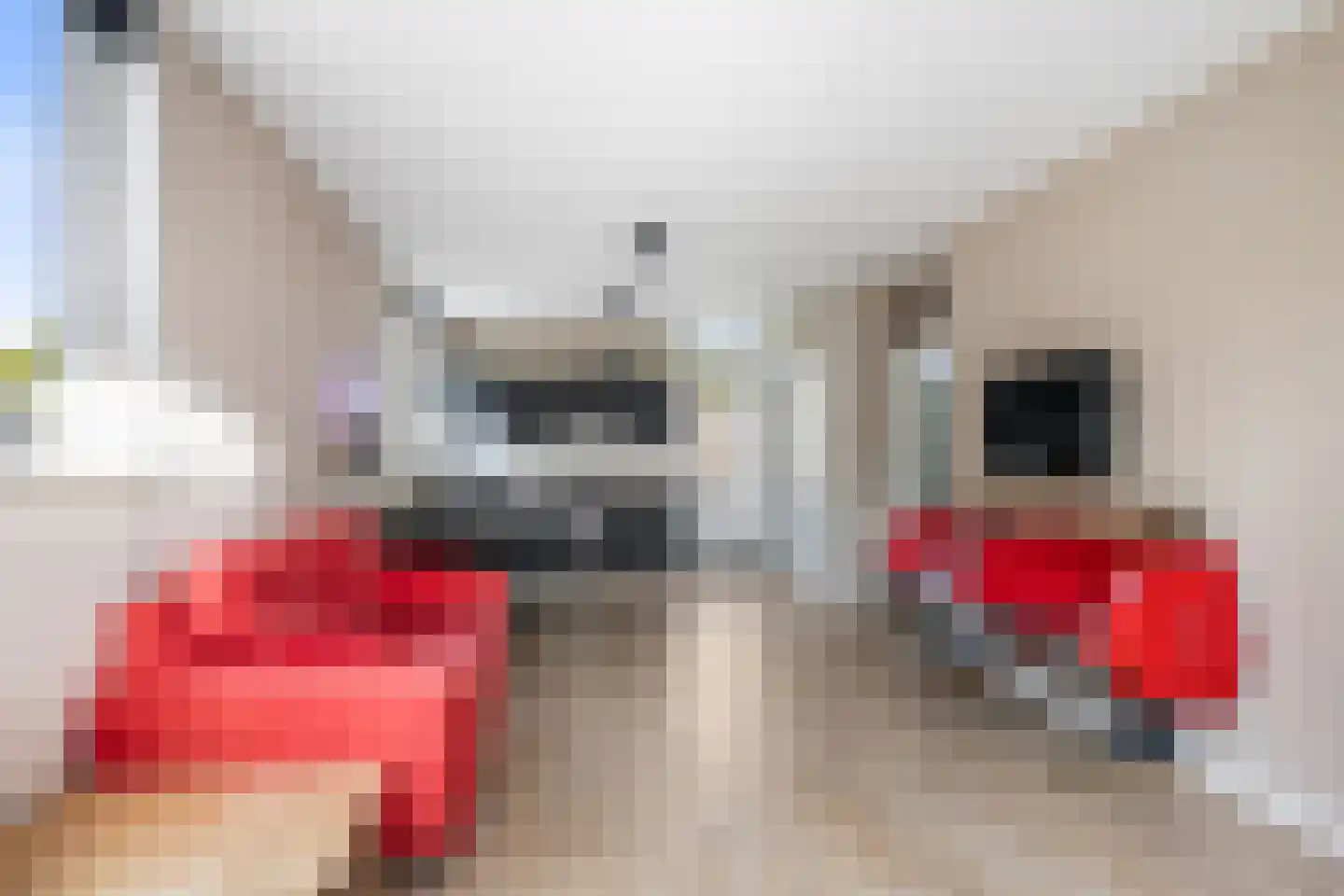 Heer Jacobstraat 2 Bakhuizen thumbnail 7
