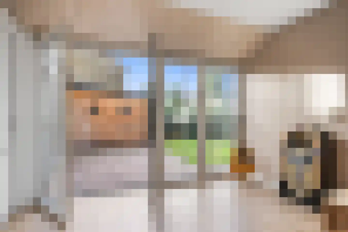 Heer Jacobstraat 2 Bakhuizen thumbnail 9