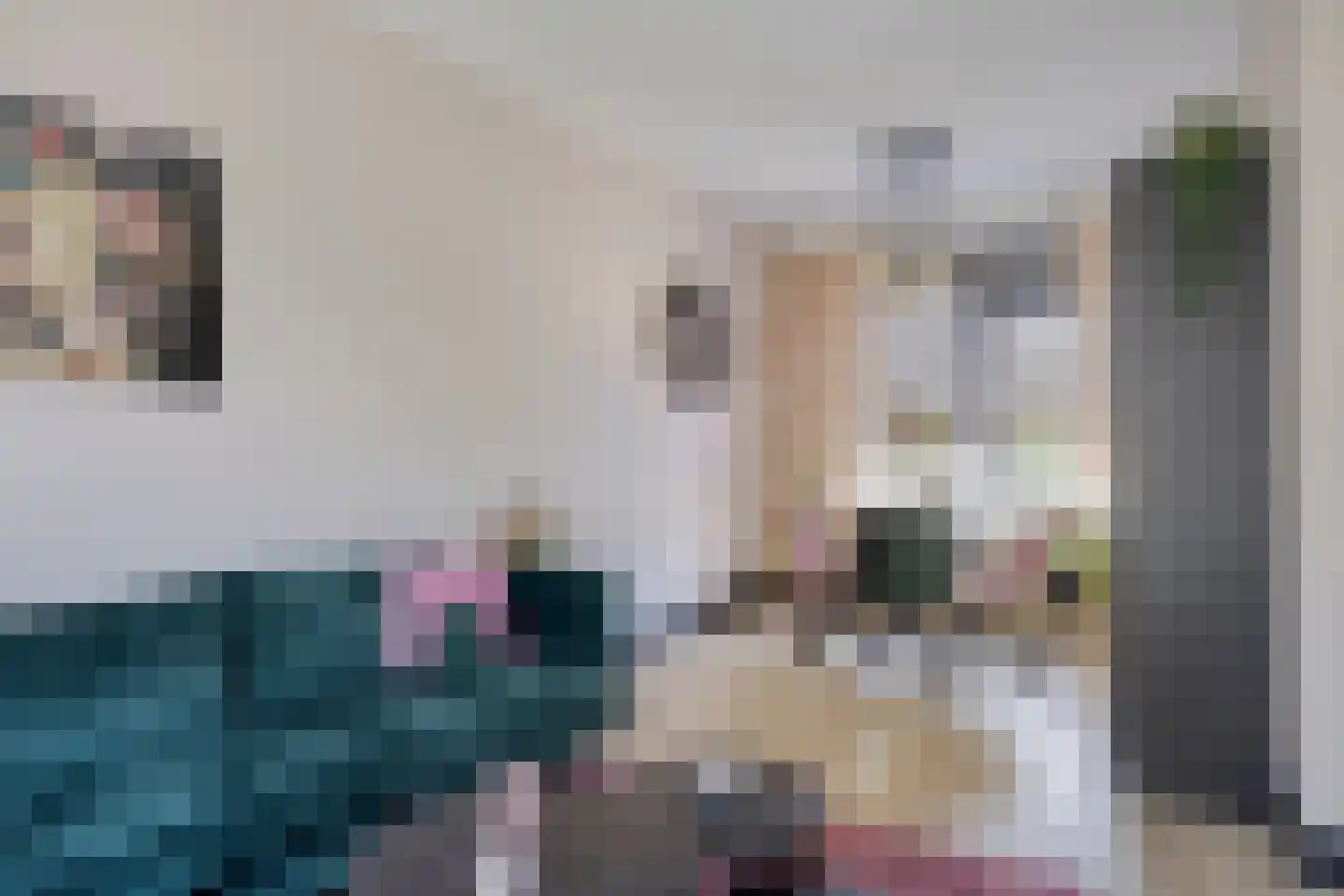 Heer Janstraat 17 Zaamslag thumbnail 10